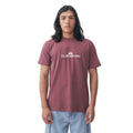Remeras Comp Logo Masculino