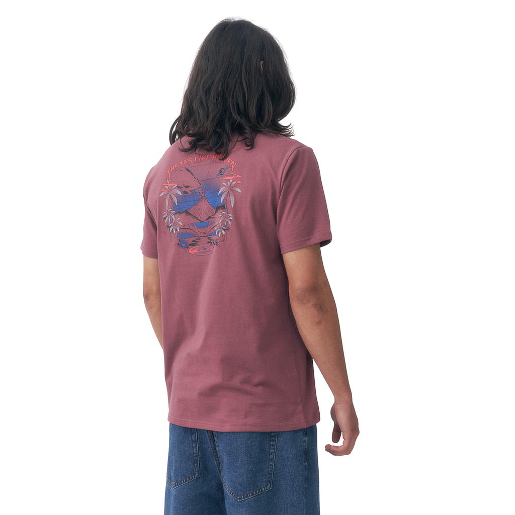Remeras Hollow Coves Masculino