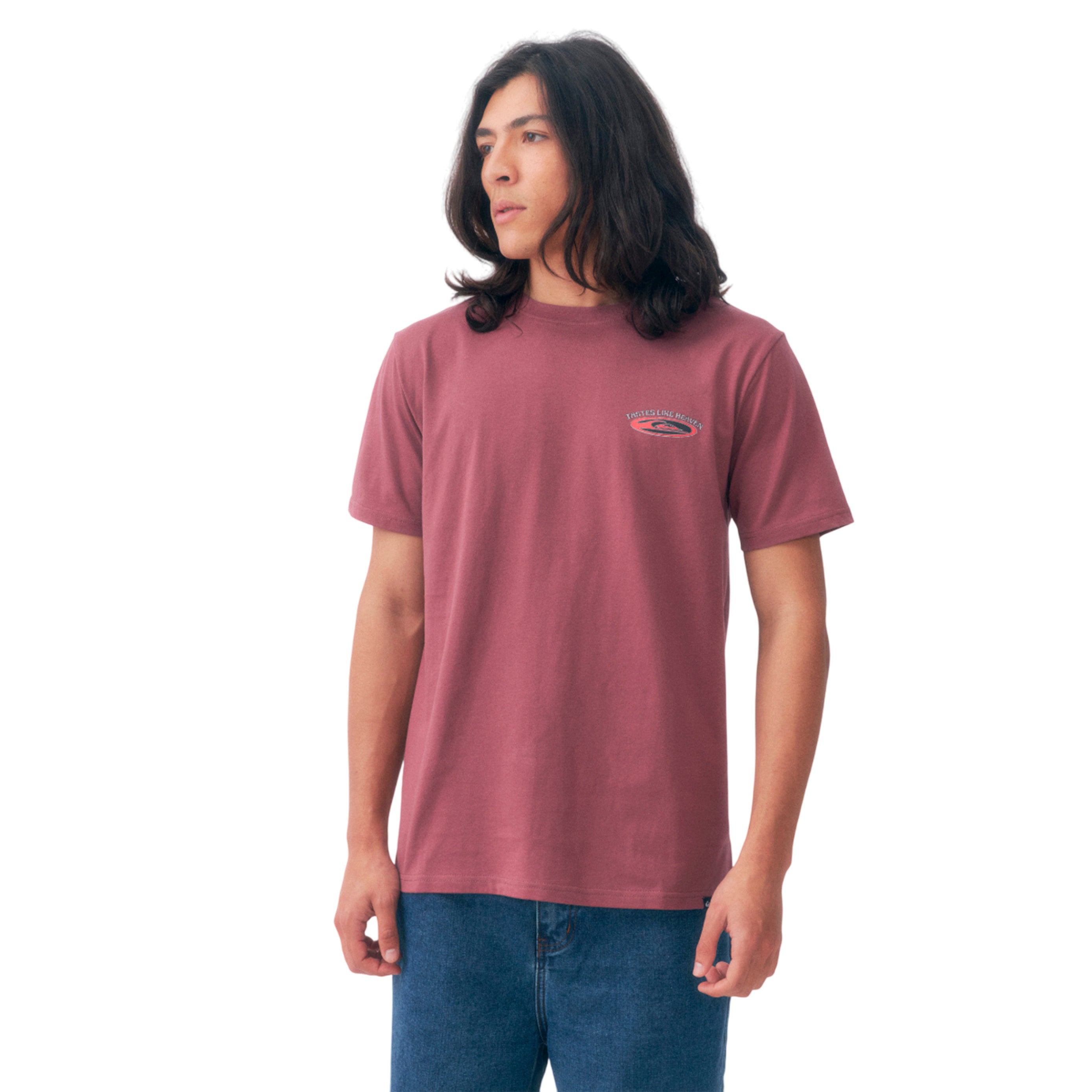 Remeras Hollow Coves Masculino