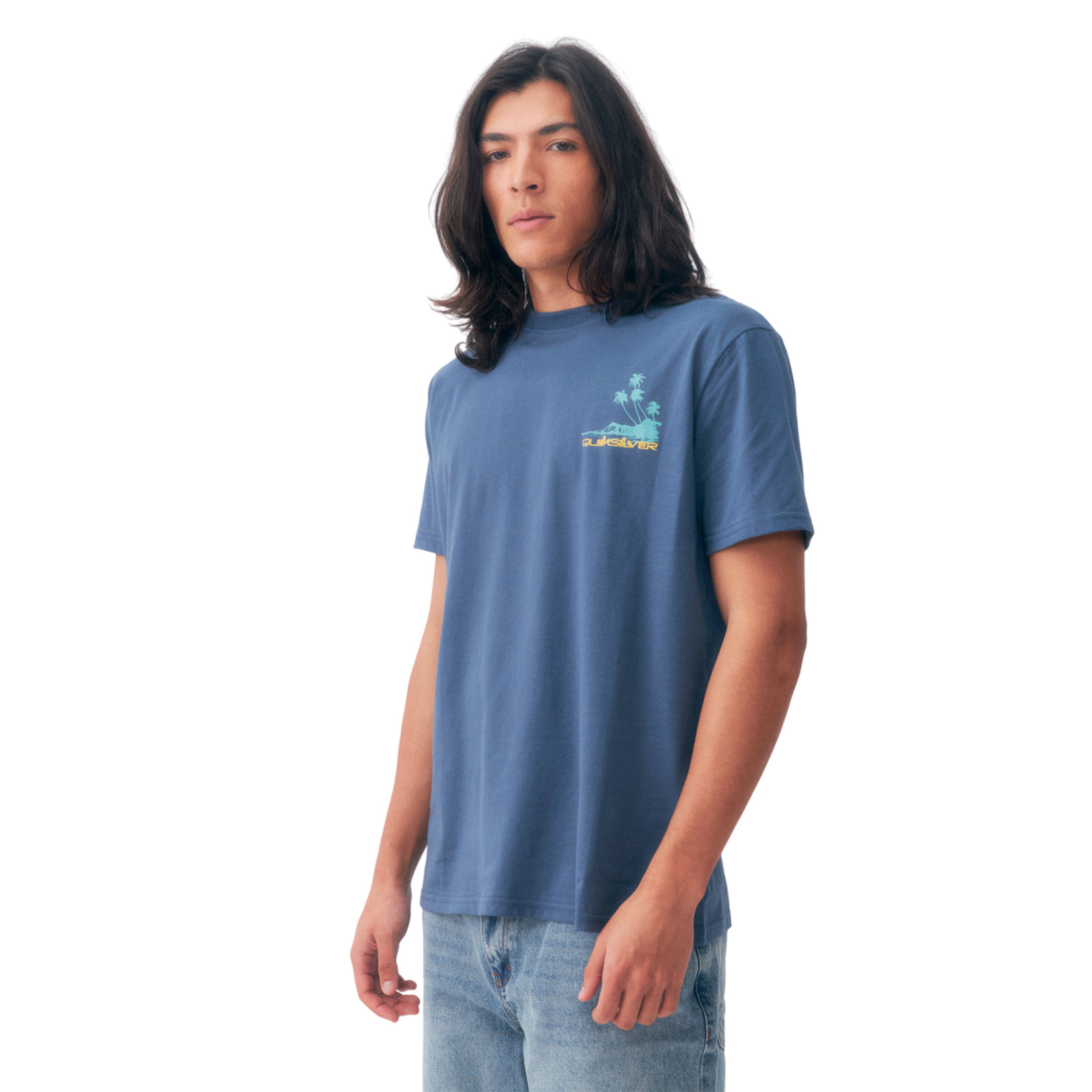 Remeras Palm Lines Masculino